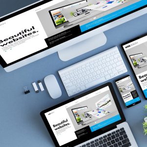 1 Day Website Migration Service